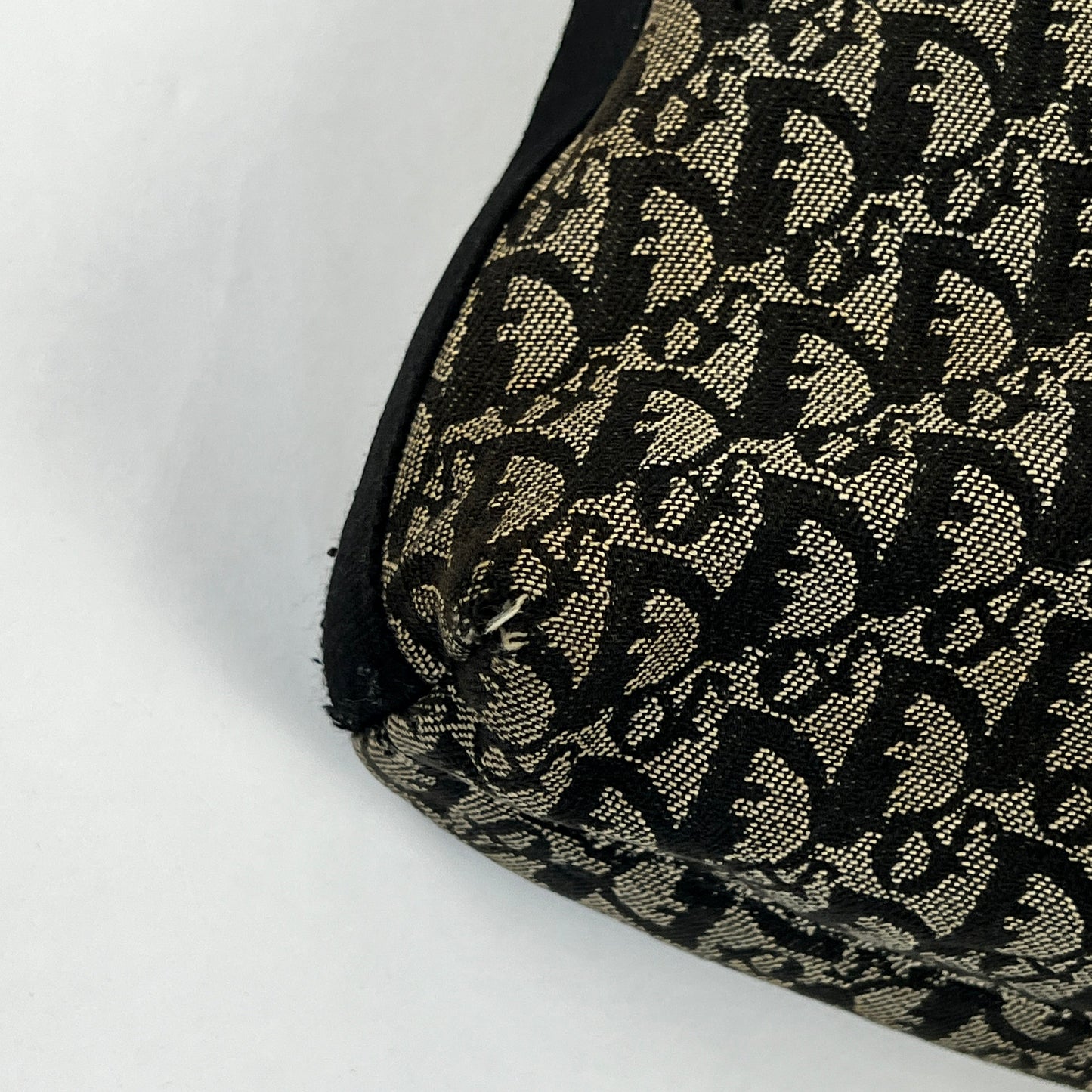 Christian Dior Canvas Crossbody Bag
