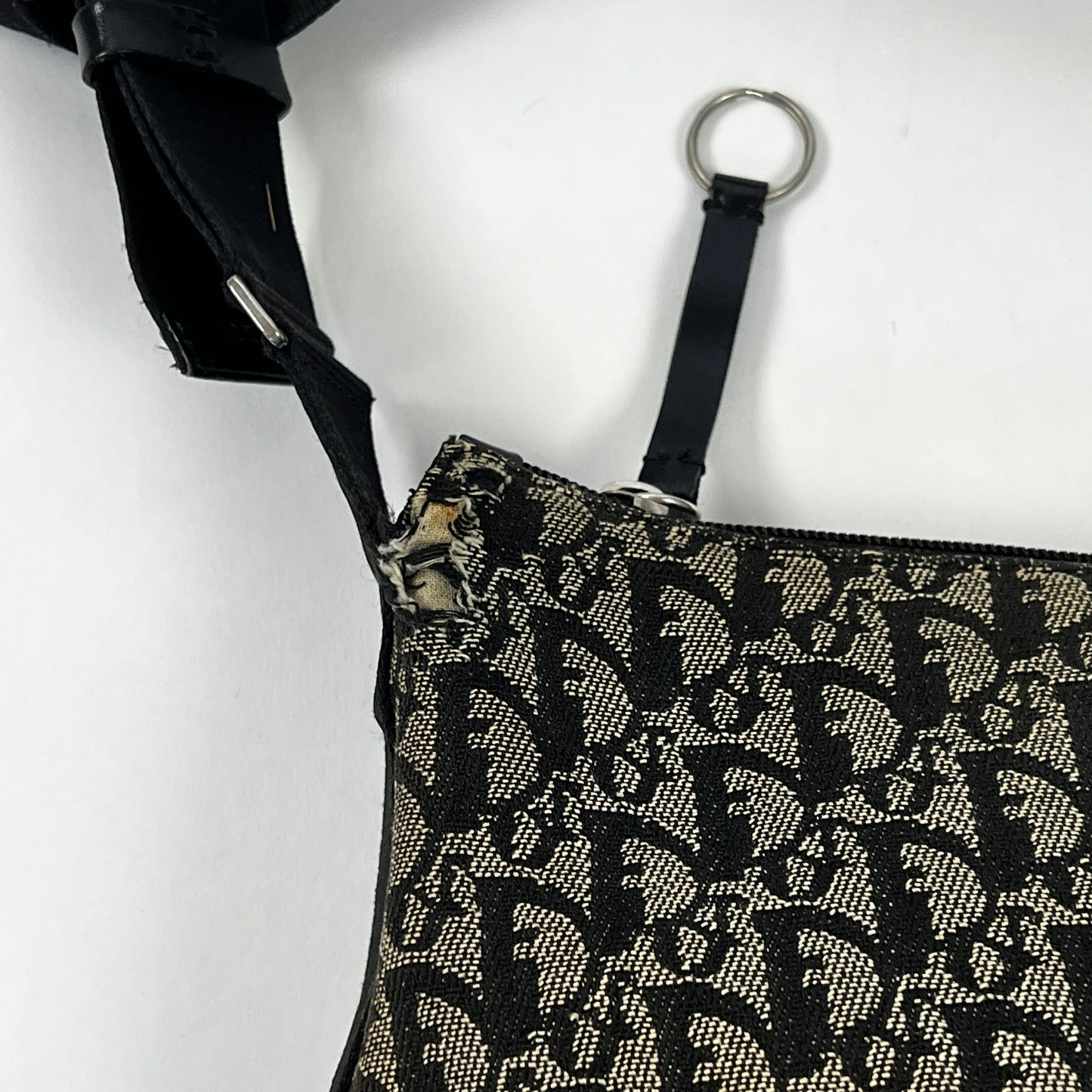 Christian Dior Canvas Crossbody Bag