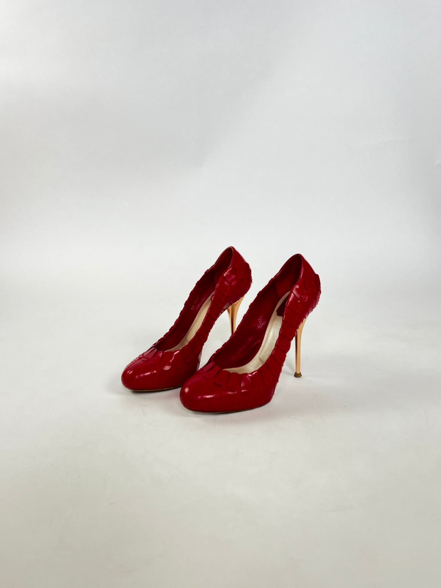 Dior Red Heels